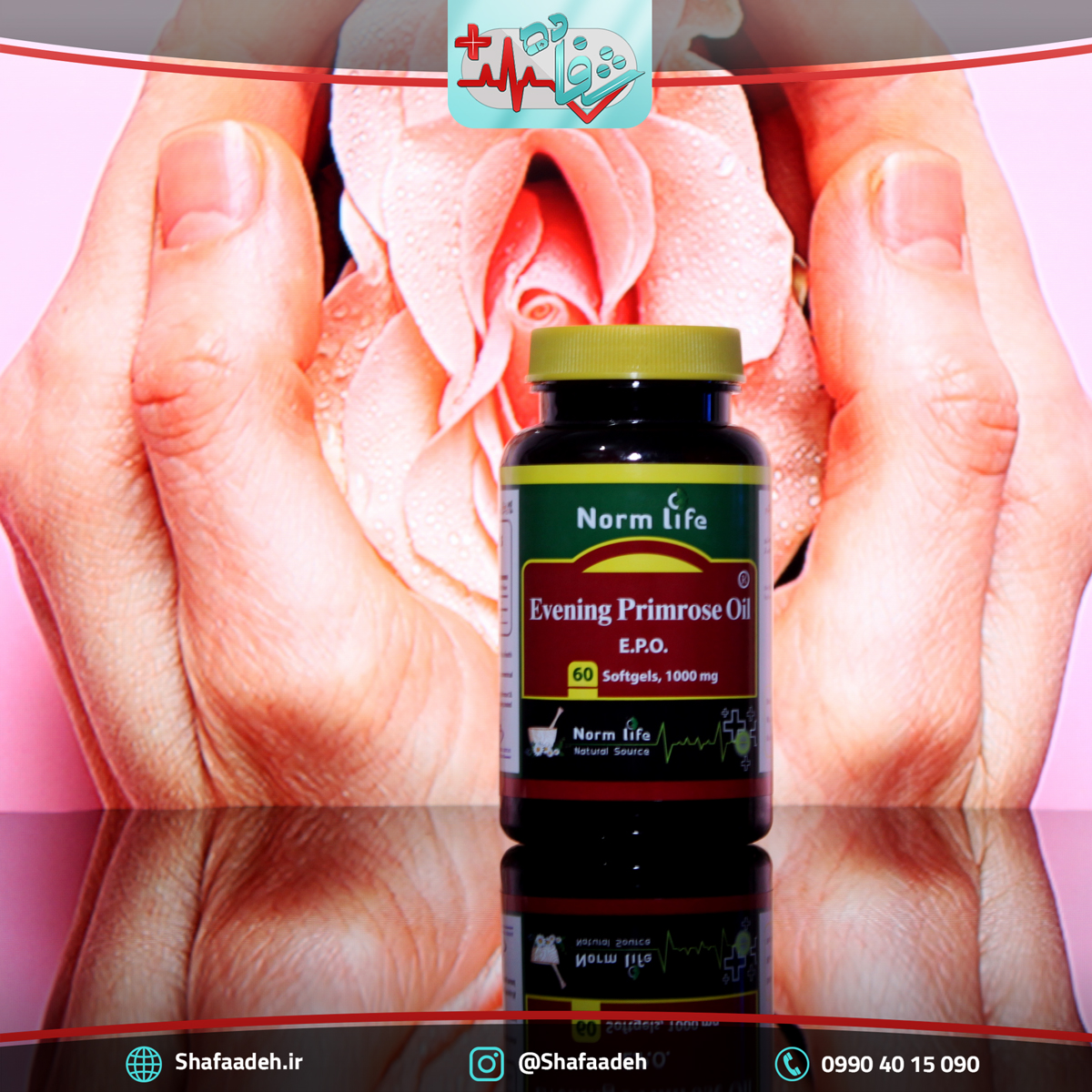 روغن گل مغربی ایوینینگ پرایم رز اویل نرم لایف – Evening Primerose Oile Norm Life